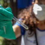 Quissamã recebe de 3 a 5 de outubro o Festival Artes e Gastronomia com shows nacionais e programação para toda a família