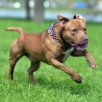 São João da Barra fica em 4º lugar no estado do Rio no ranking do Tesouro Nacional