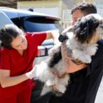 SJB é representada por 27 atletas em competições no fim de semana