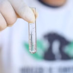 Sambagode da Consciência Marca Dia da Consciência Negra com Escolas de Samba e Concurso Beleza Negra em SJB